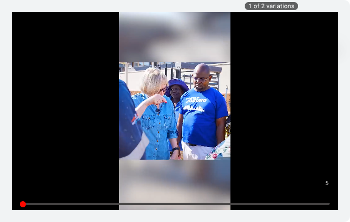 Democratic Alliance